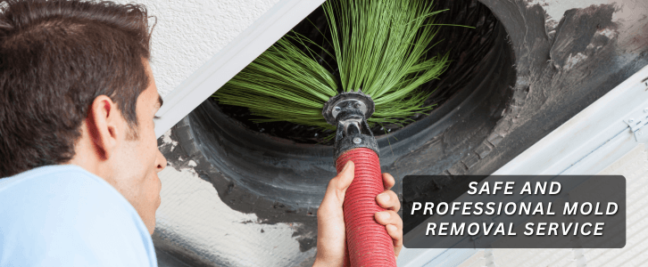 Air Duct Mold Removal in Magnolia TX
