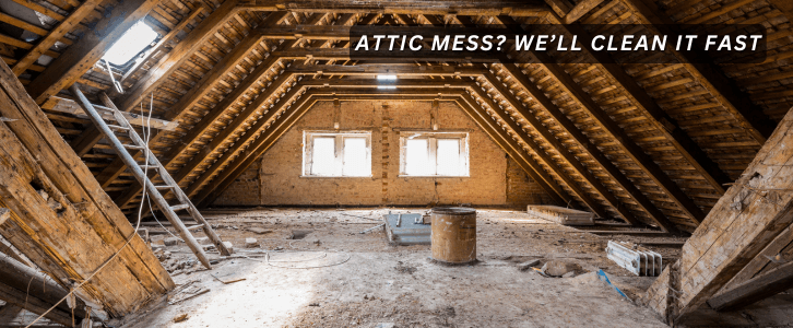 Attic Cleaning Magnolia TX