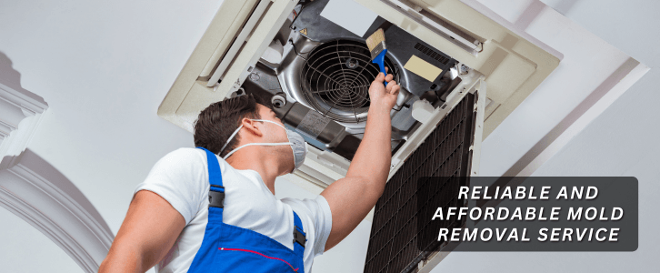 HVAC Mold Removal Magnolia TX